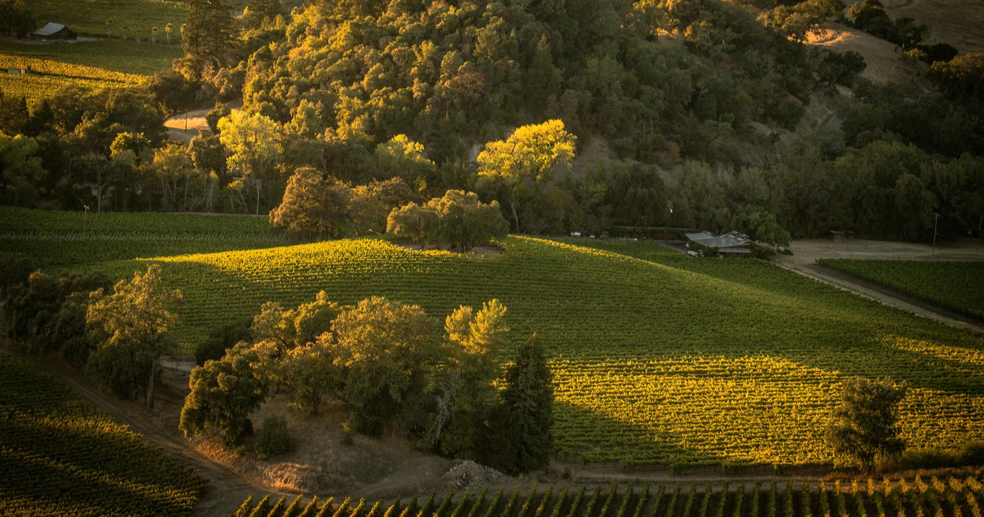 Garden Creek Vineyards social OG image