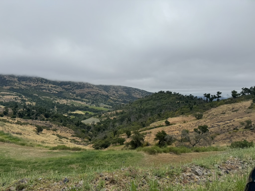 Greater Fool Wine social image