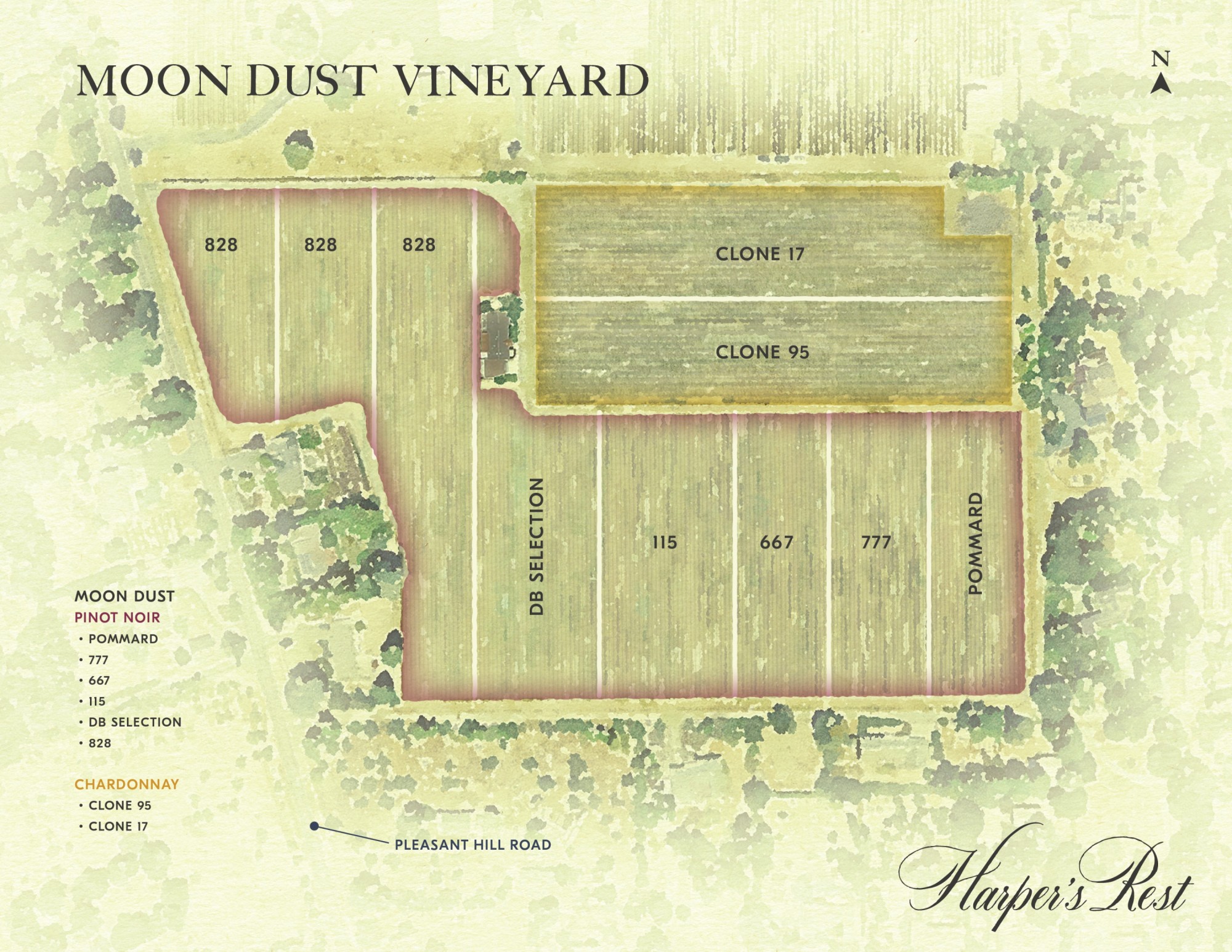 Moon Dust Vineyard