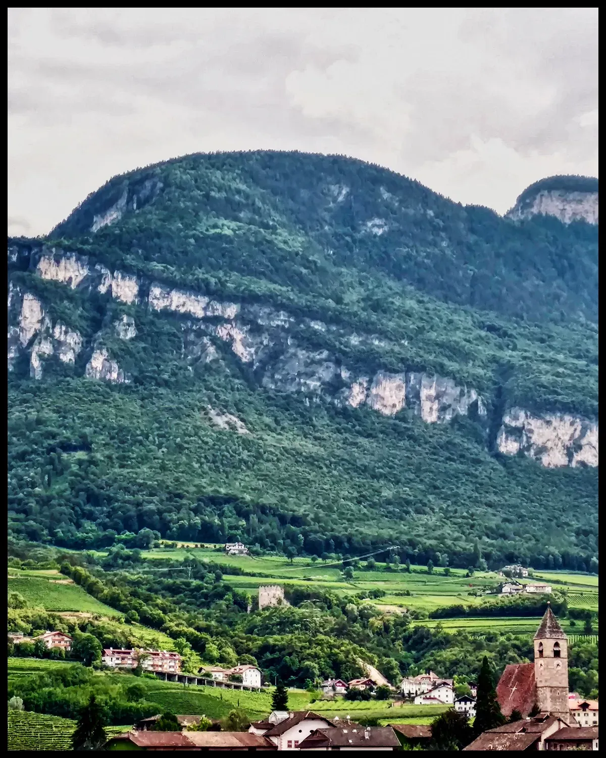 Pinot Noir aging in foudre at Kuentz-Bas