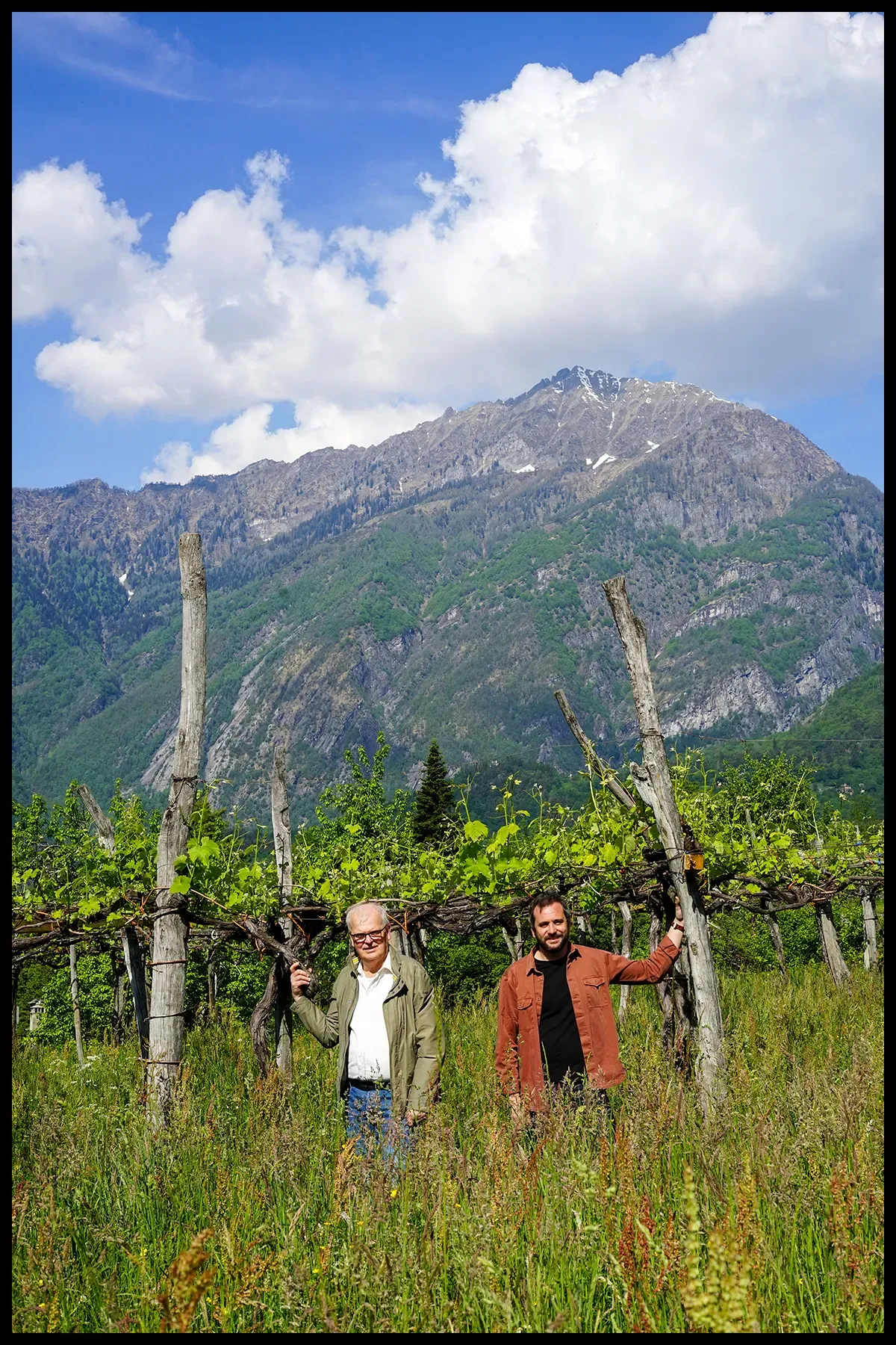 Roberto and Marco Garrone in one of the dozens of micro-vineyards they farm