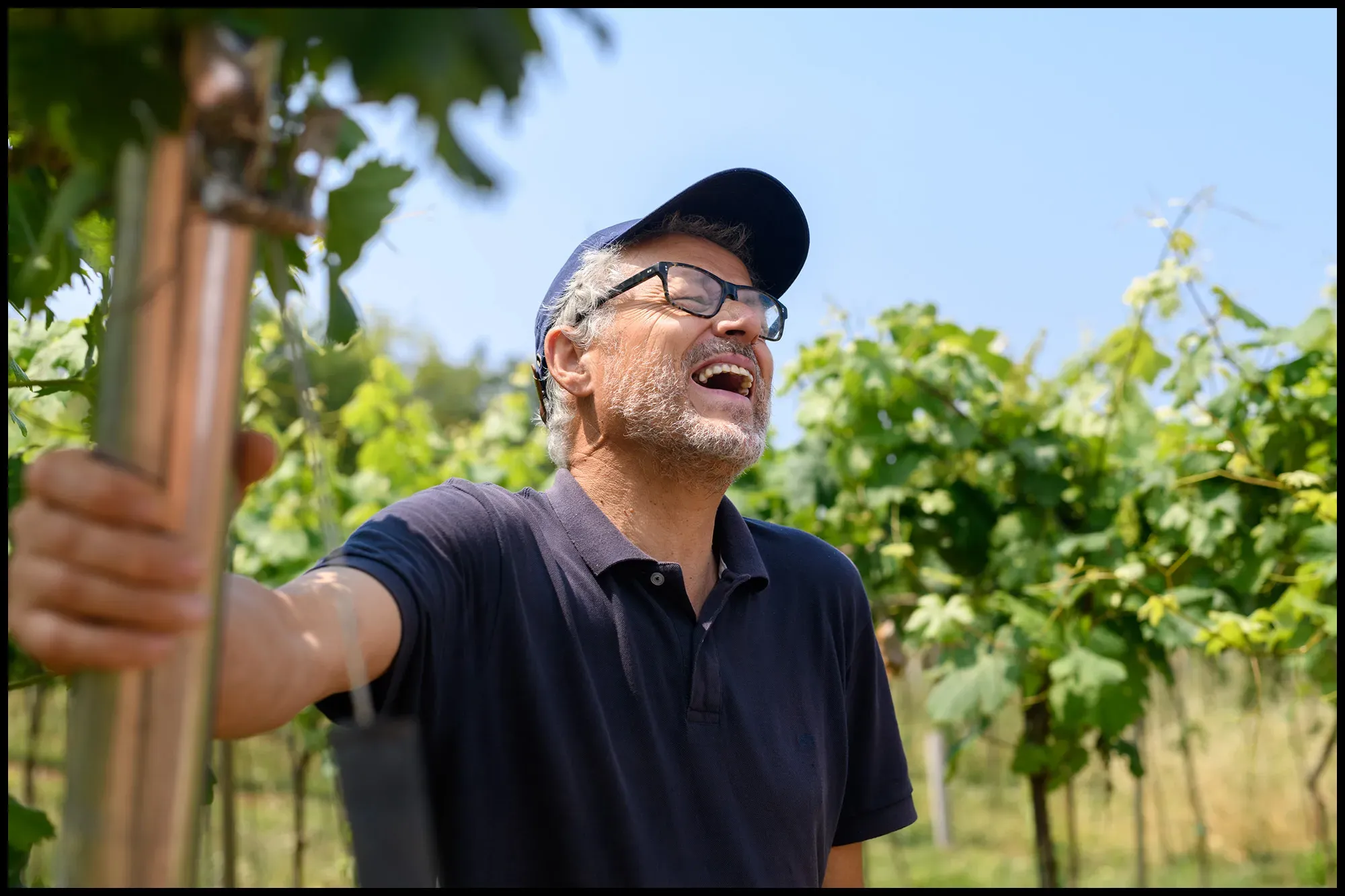 Paolo in his Rossese vines