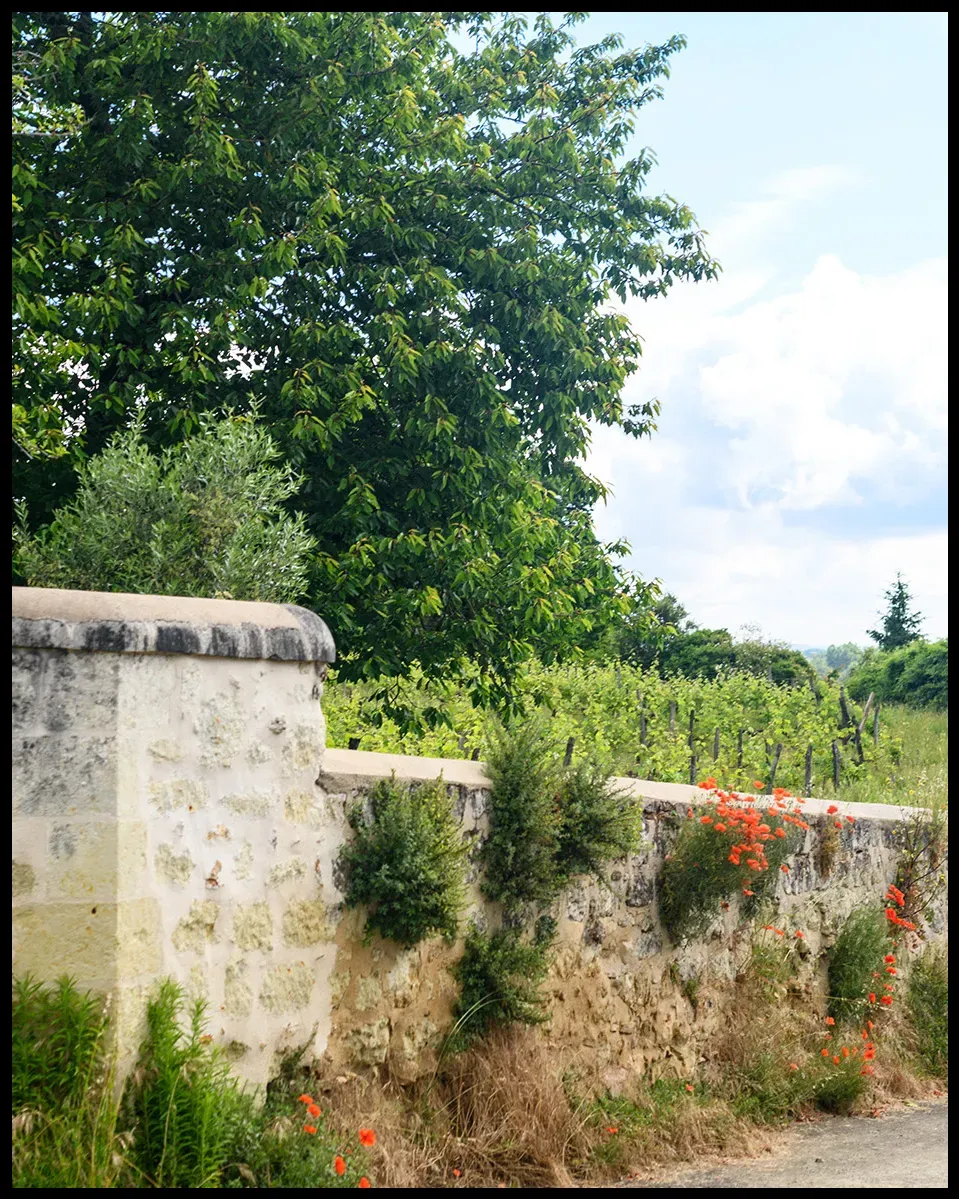 The stone wall outside Clos de l’Echelier