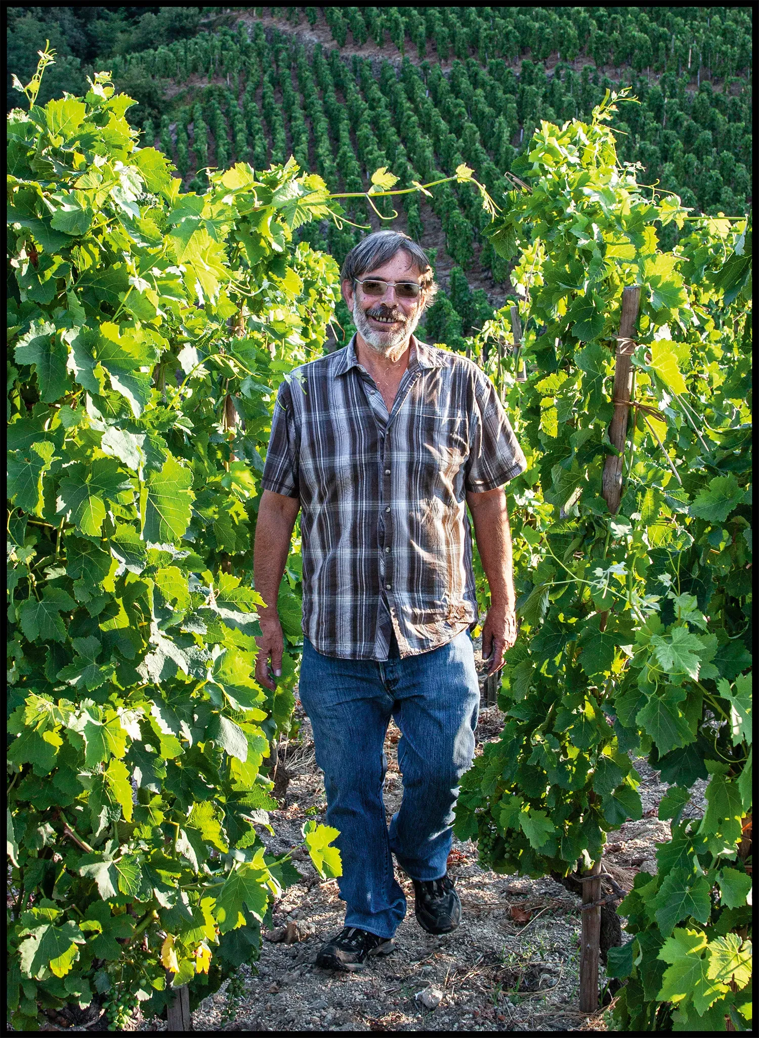 Pierre-Marie Clape in the vines of Cornas