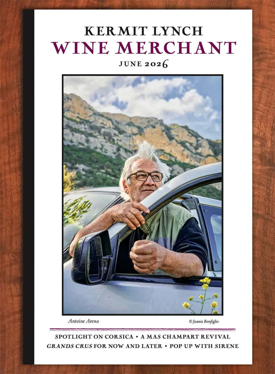 June Newsletter on background