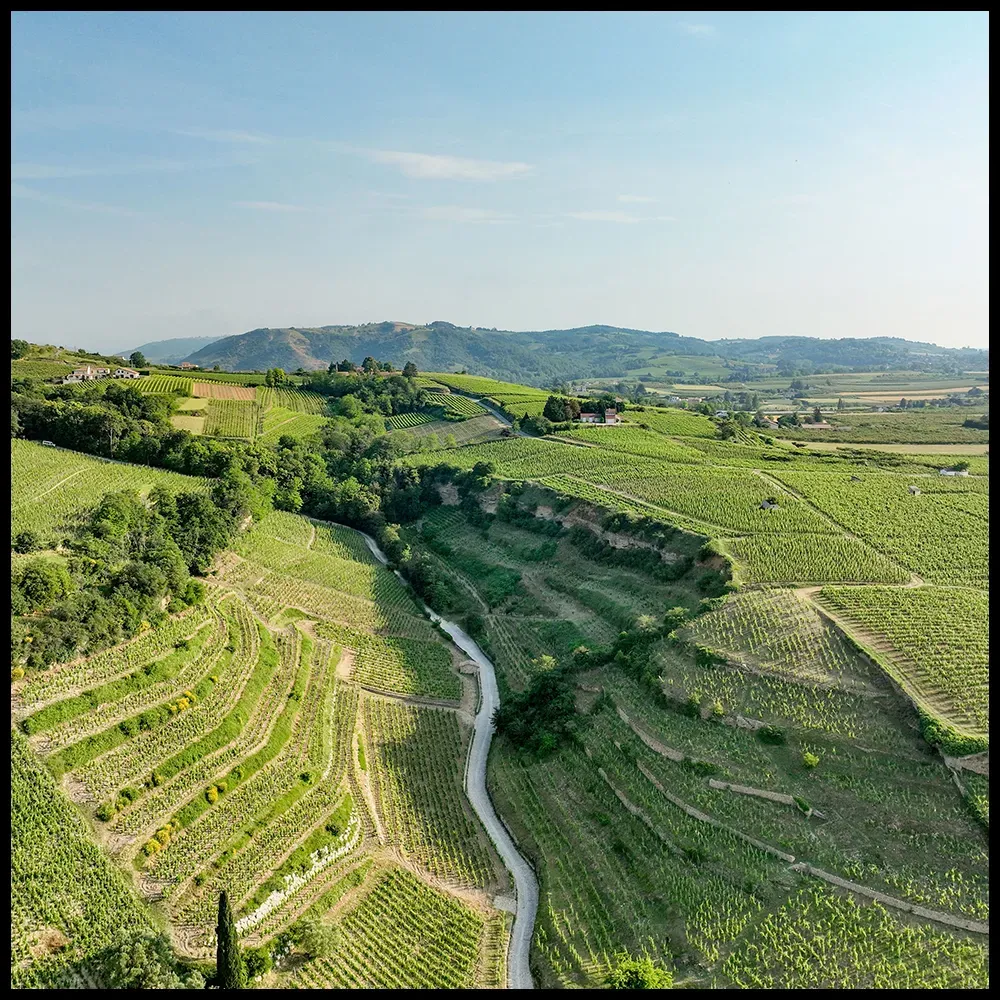 The northern Rhône