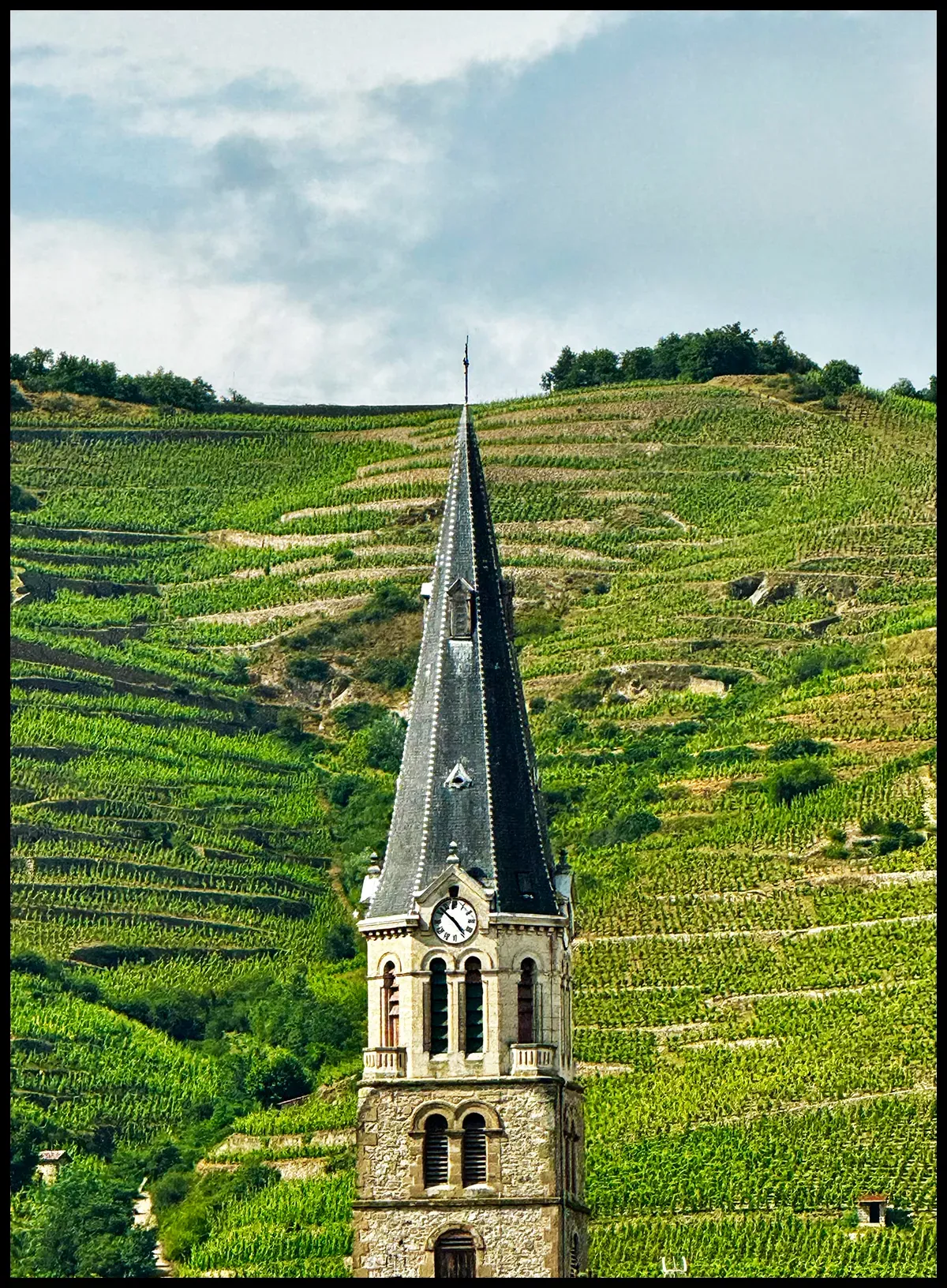 The Hill of Hermitage