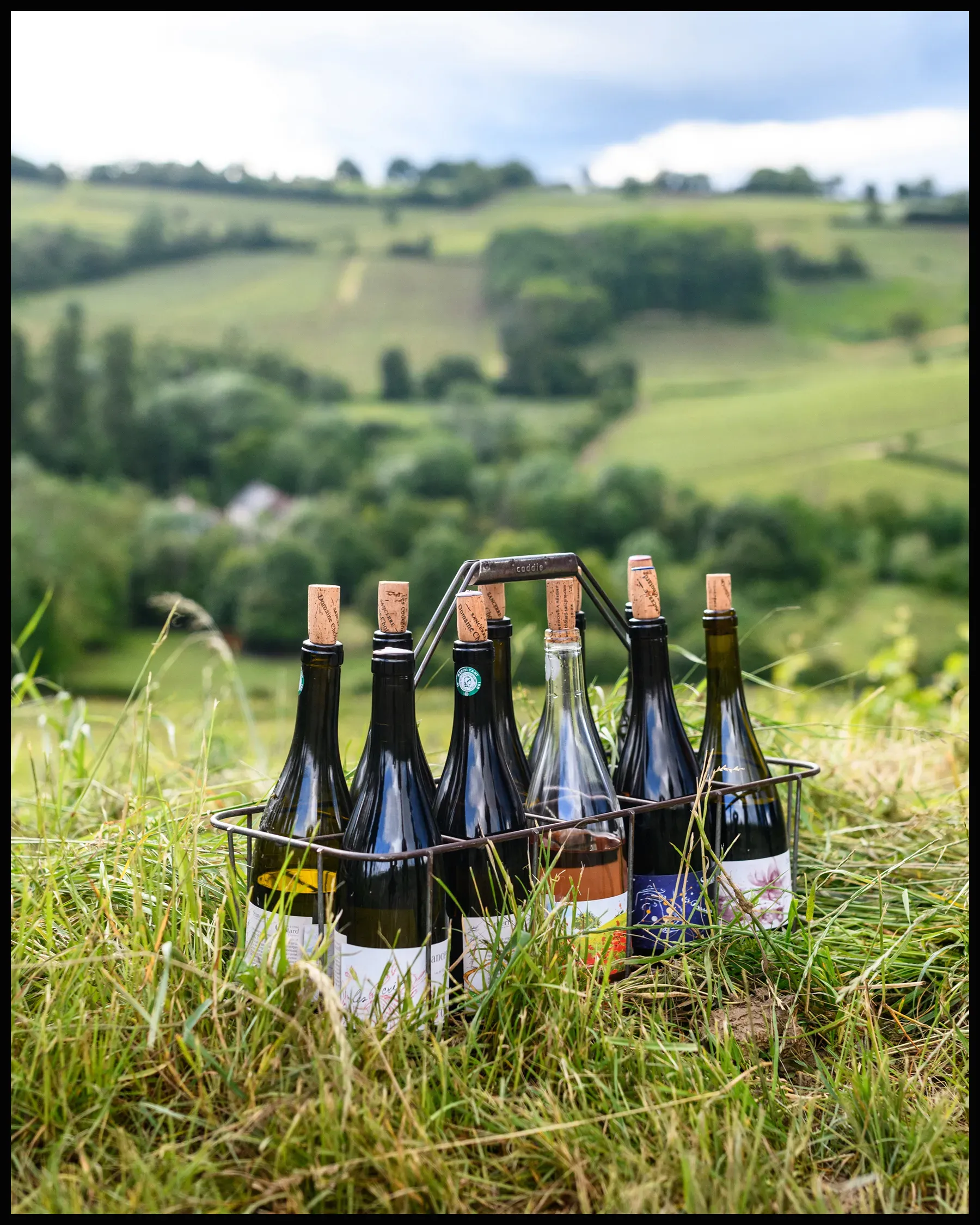 Al fresco tasting at Domaine Chotard