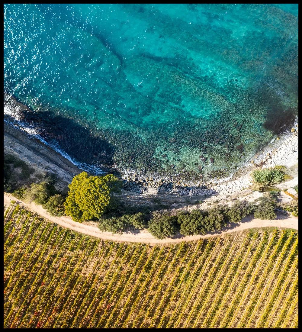 Clos Sainte Magdeleine
