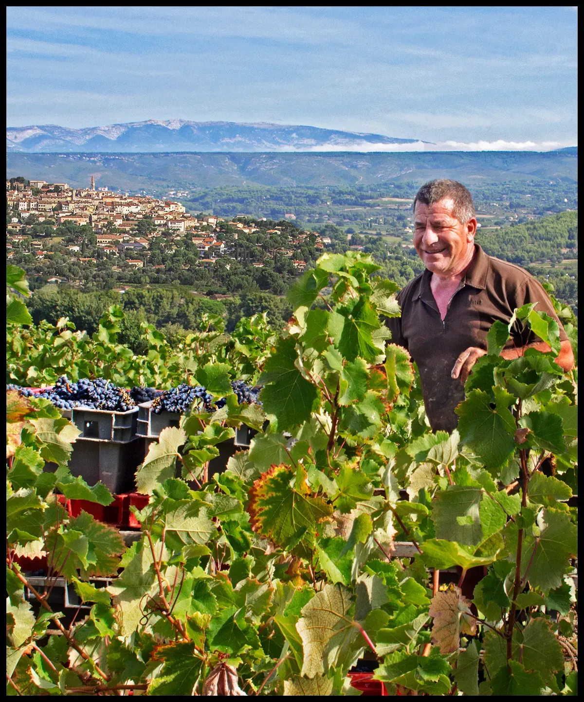 Alain Pascal of Gros ‘Noré
