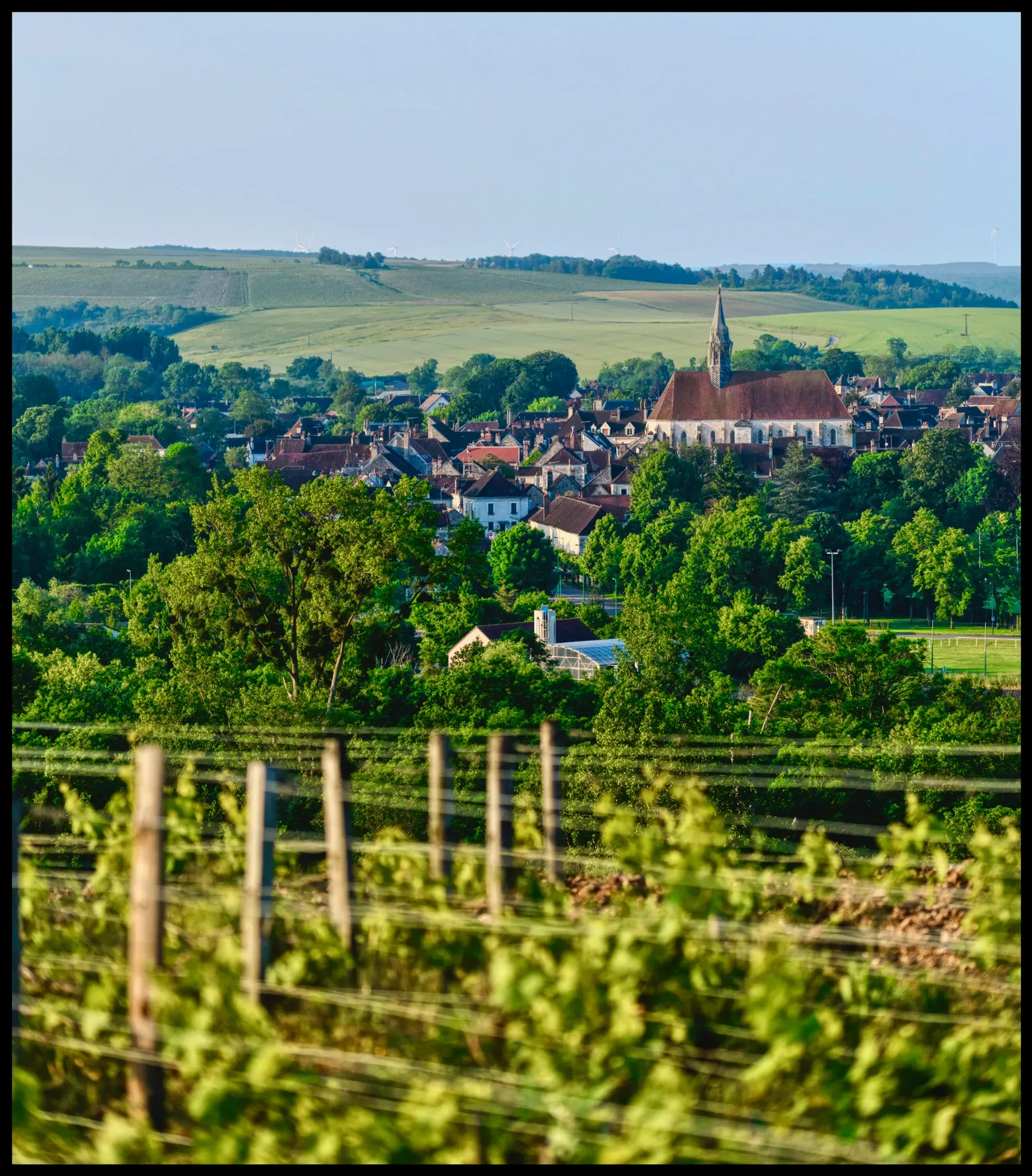 The village of Chablis