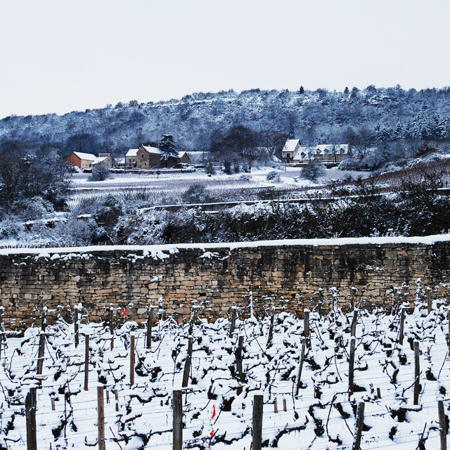   - Kermit Lynch Wine Merchant