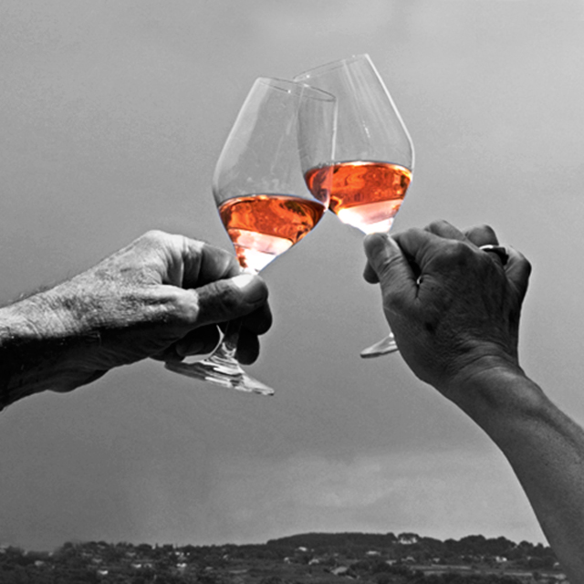   - Kermit Lynch Wine Merchant
