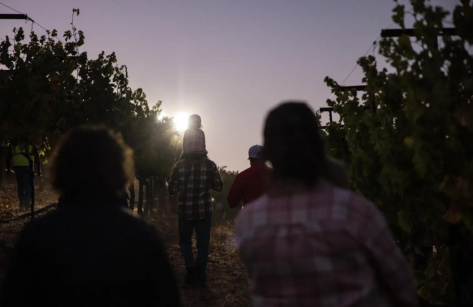 Four generations in agriculture