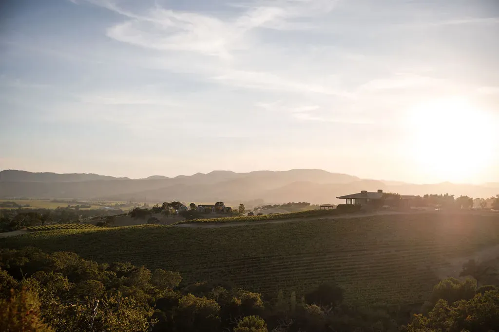 Overview of McCoy's Napa Vineyard at dusk. 