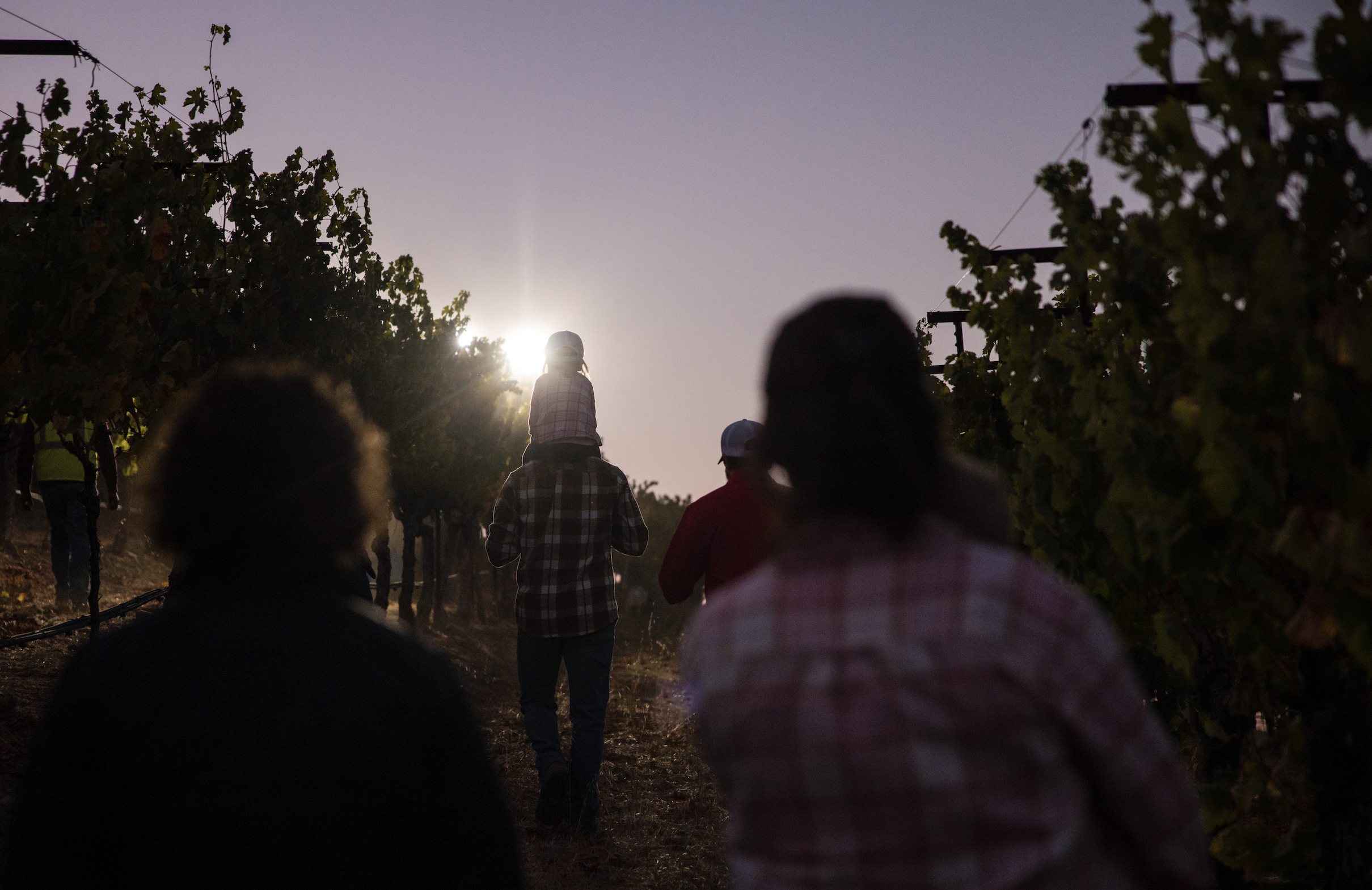 McCoy Family Estates OG image