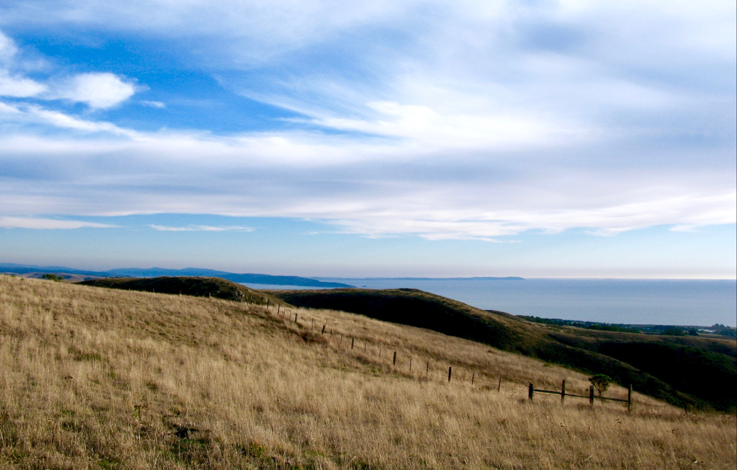 World-class pinot noir from unique sites on the coastal