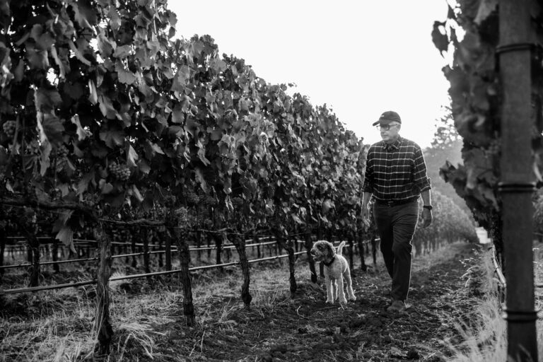 Craig willimas of C Novo walking through a vineyard with his dog.