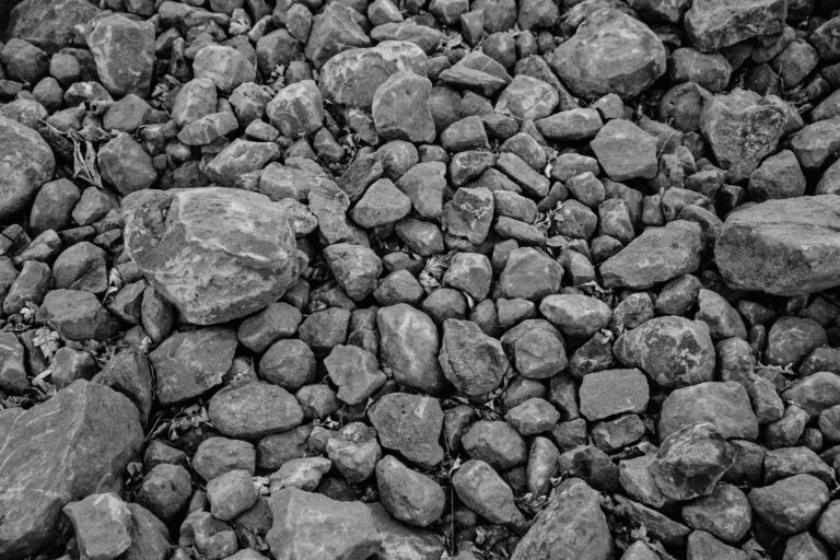 X Novo Rocky soil