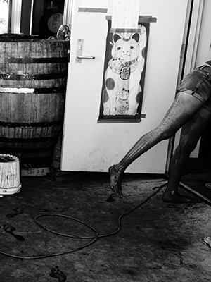 2012 androkteinos  - LOS ANGELES RIVER WINE COMPANY