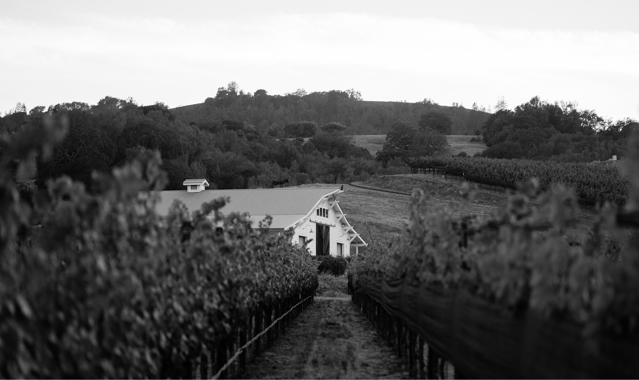 The barn at Moulds Family Vineyard