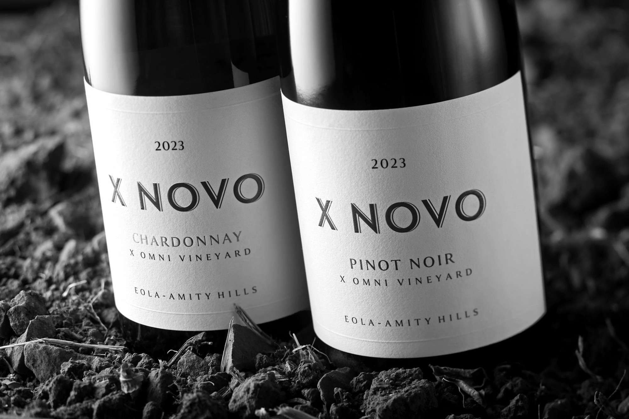 2023 X Omni Chardonnay & Pinot Noir