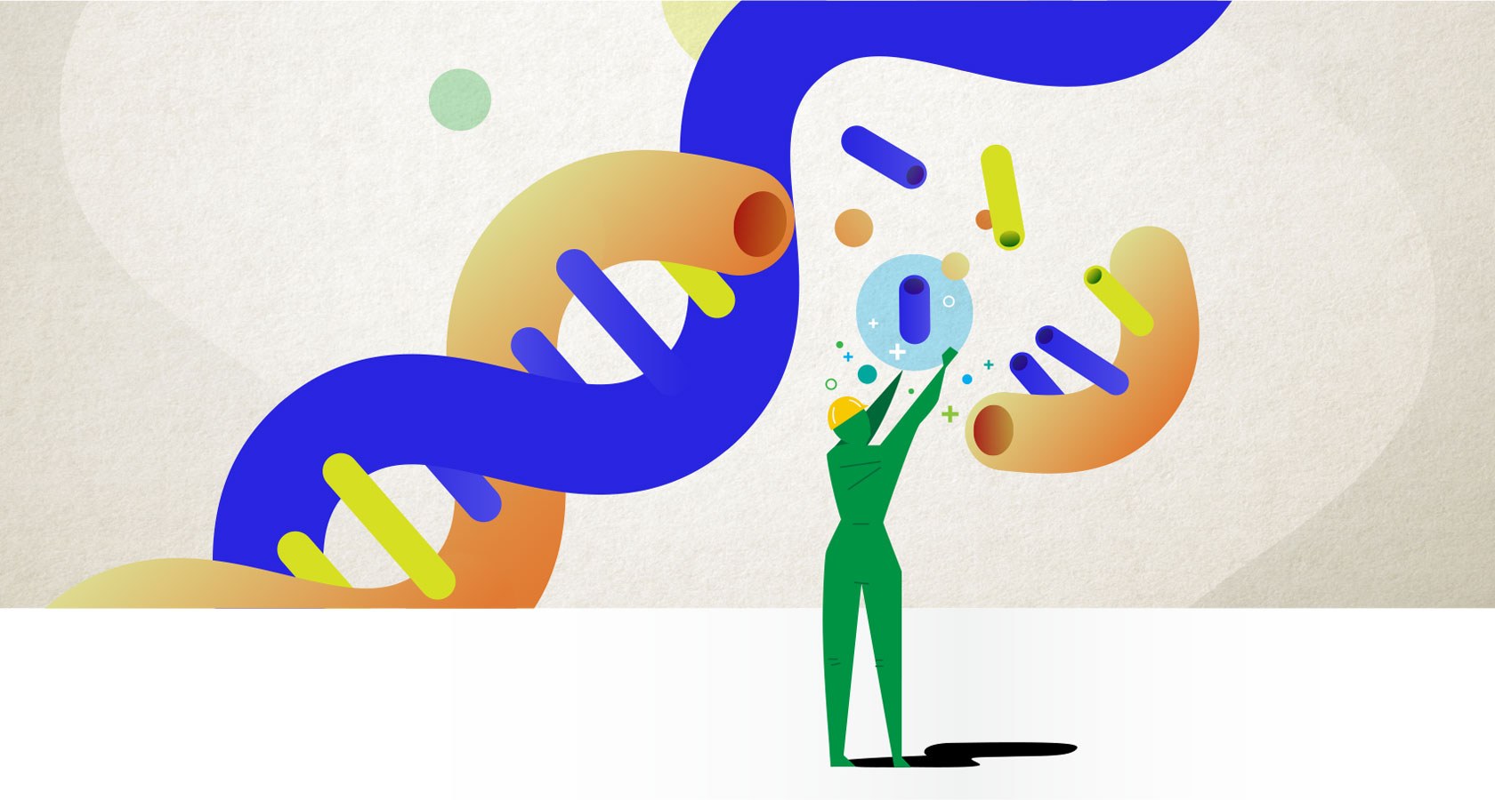 Dna Repair