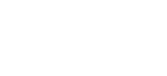 Wayback Burgers