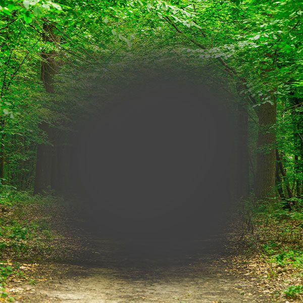 blurred vision of nature