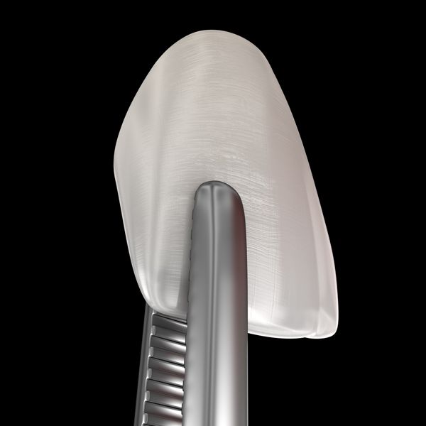 Dental Haus Germantown Dentist Nashville, TN