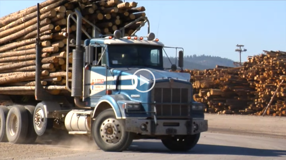 Law Video: Interviews & Special Topics