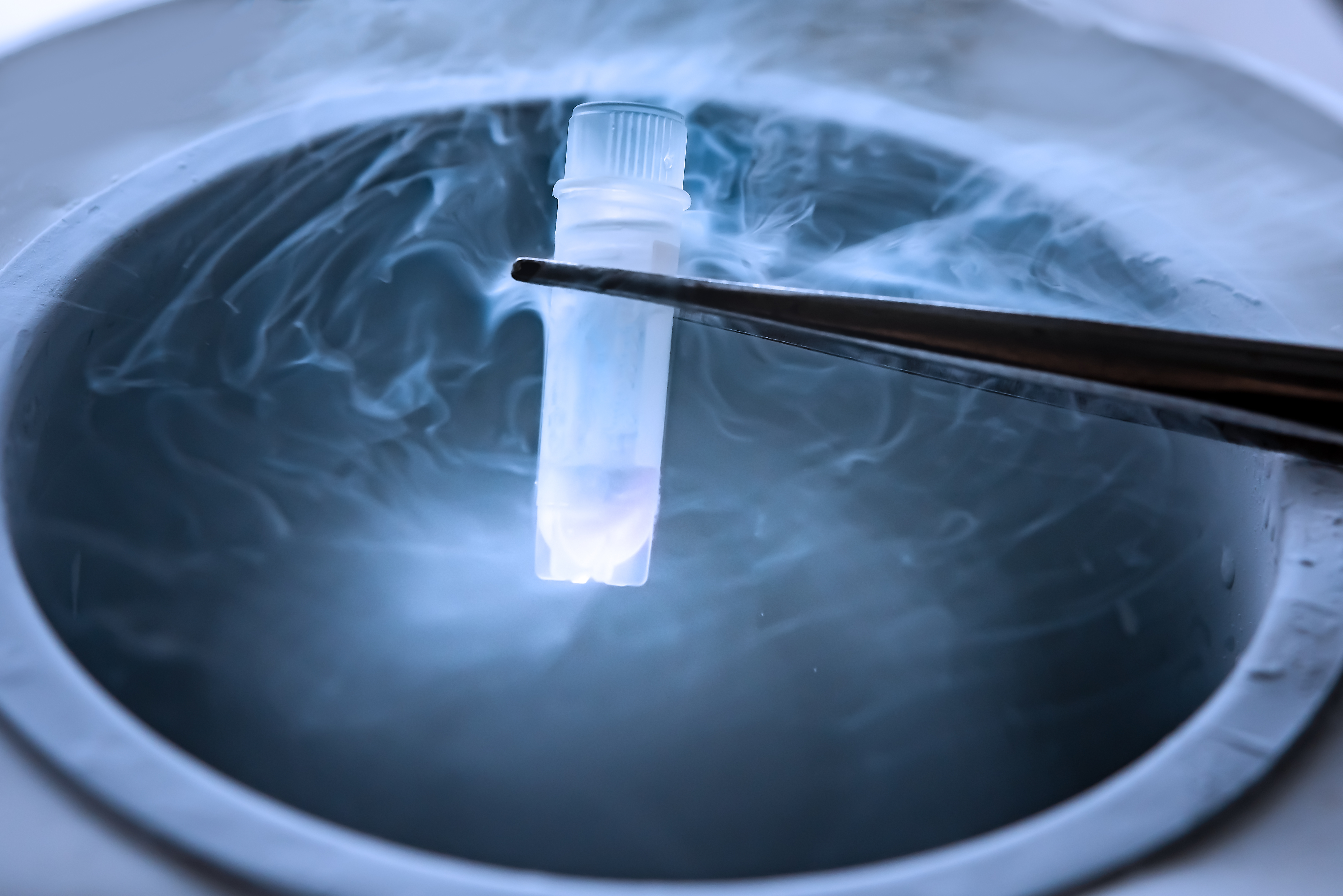Cryopreservation tools in a lab