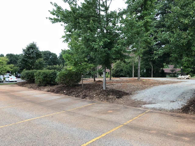 A pathway lined with trees that leads into a parking lot