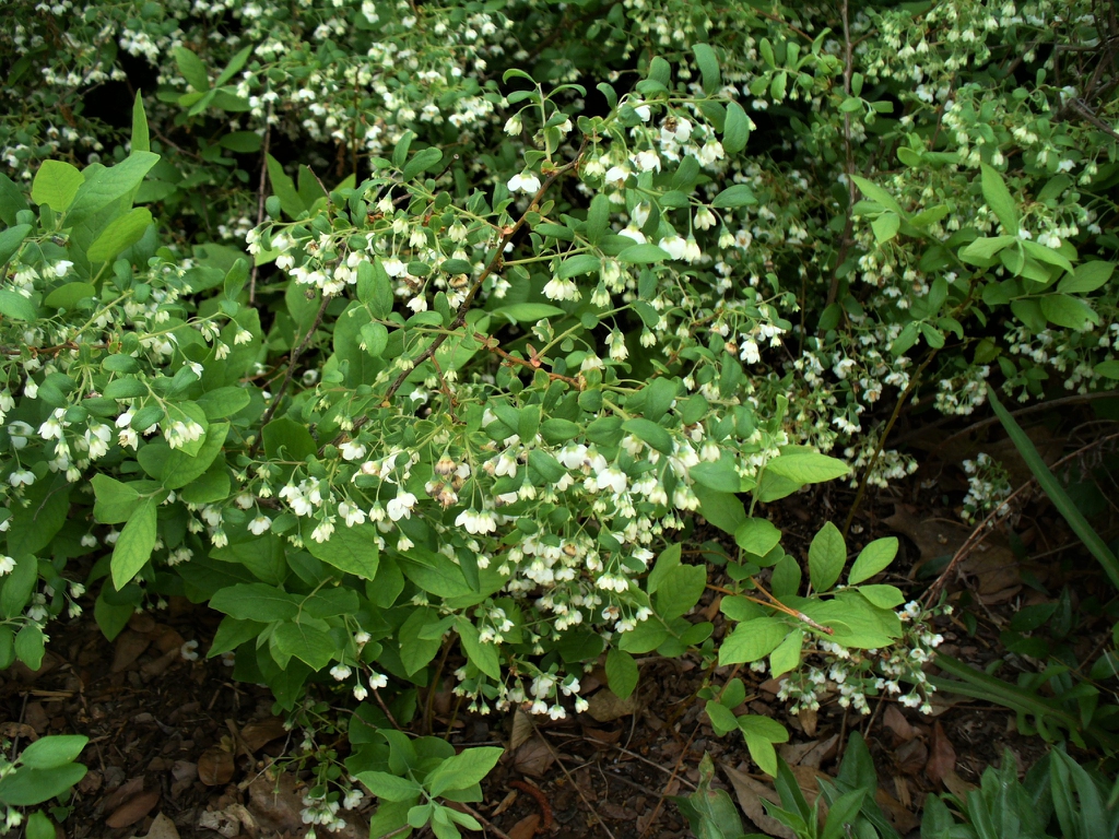 In the spring.