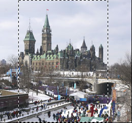 Cropping an image to standard dimensions