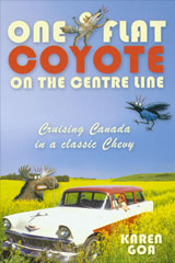 One Flat Coyote on the Center Line