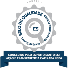 Selo Prata ES em Ação 2024