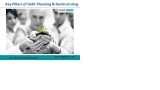 Debt Planning and Restructuring