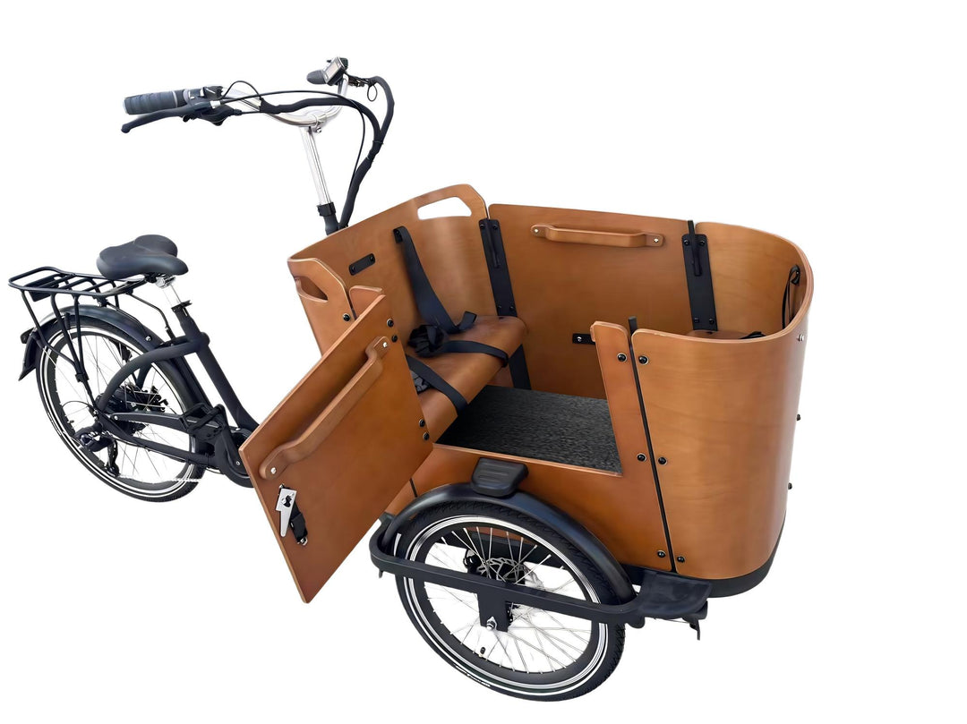 Electric Bikes with Integrated Cargo Systems