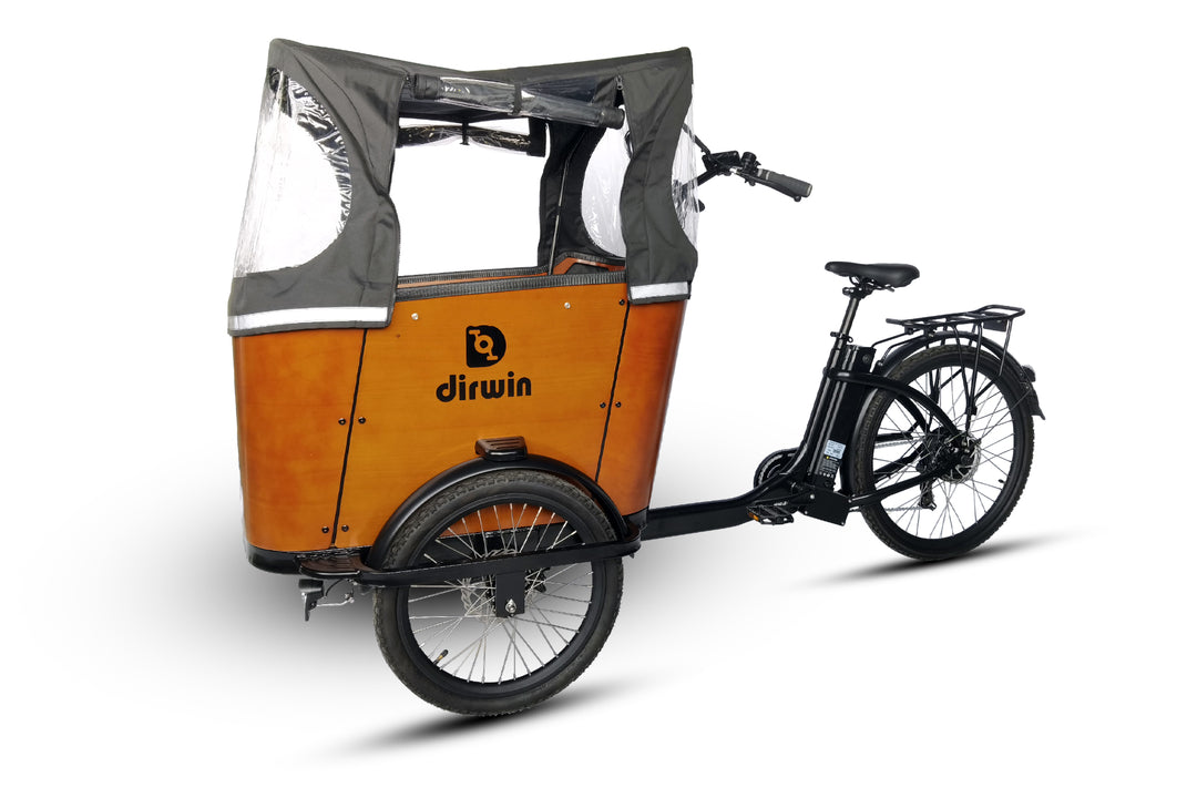 Are cargo ebikes eco-friendly?