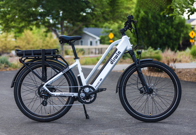 Pioneer Plus: Popular Fat Tire eBike