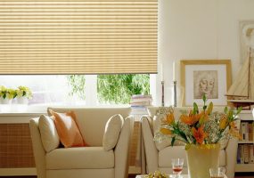 QMotion QAdvanced Automatic Blinds