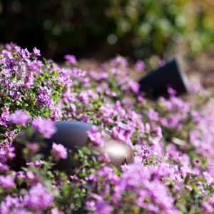 outdoor rock subwoofer