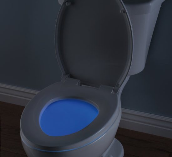 Delta Smart Toilet Seat Prevents Accidents