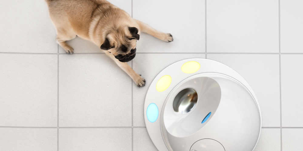 July 7, 2016 EH Contributor Leave a Comment