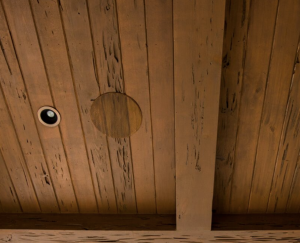speaker in ceiling