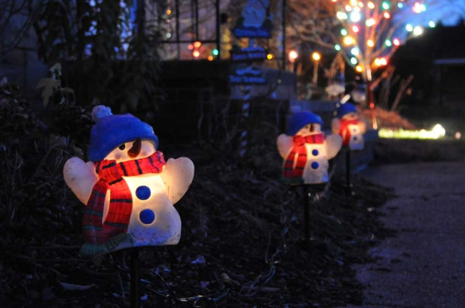 Leave a Reply Cancel reply