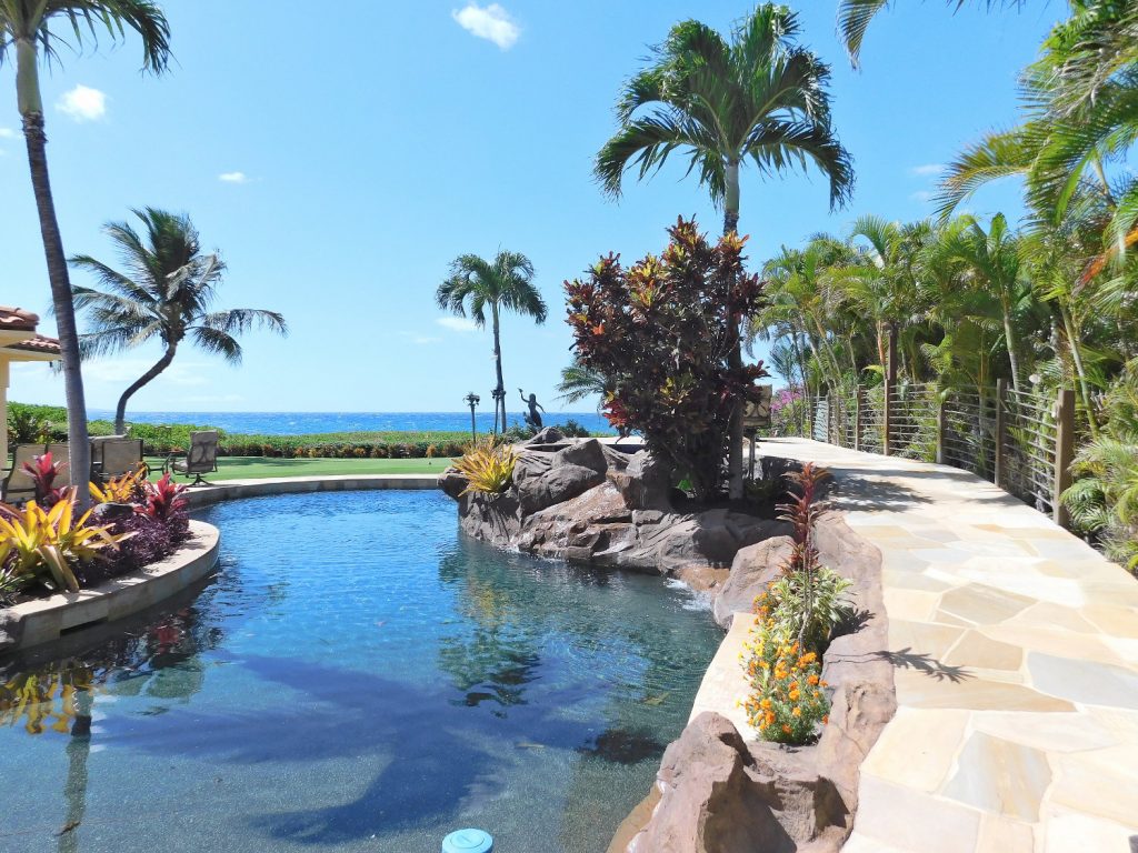 Leave a Reply Cancel reply