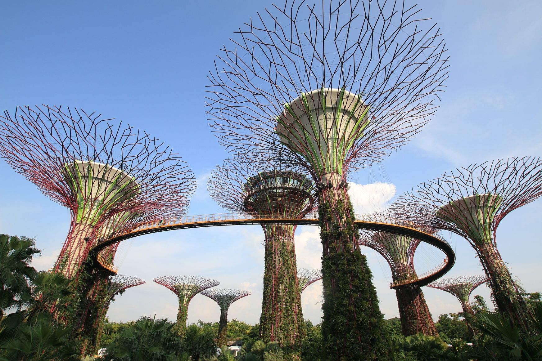 tui singapore and bali