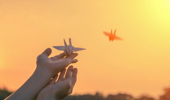 Hands relaeasing bird orange background